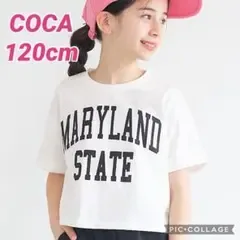 新品タグ付き COCA Tシャツ 女の子 120cm キッズ 子供服
