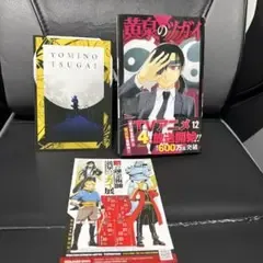 黄泉のツガイ12巻 特典カード付き