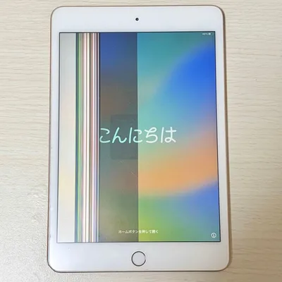 【ジャンク品】iPad mini 第5世代 64GB ゴールド
