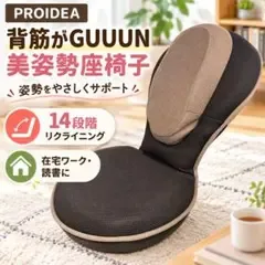 大人用✨ 背筋がGUUUN 美姿勢座椅子 ブラウン プロイデア 骨盤 姿勢