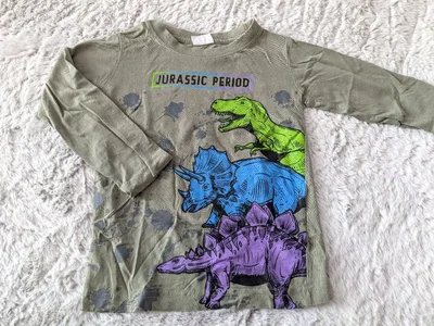 恐竜柄 長袖Tシャツ 100cm