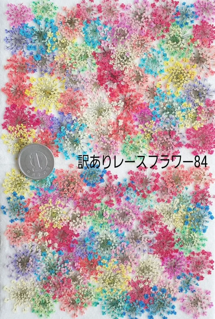 訳ありレースフラワー押し花84