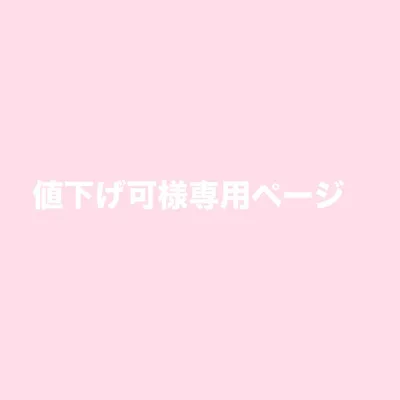 値下げ可様専用ページ