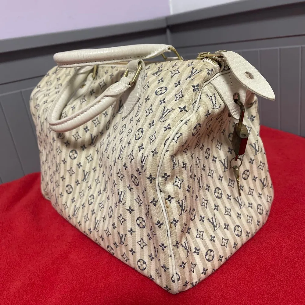 LOUIS VUITTON ルイヴィトン スピーディ モノグラム ハンドバッグ