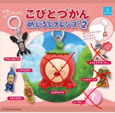 こびとづかん めじるしフレンズ2 アラシクロバネ シノビイエコビト タカラコガネ