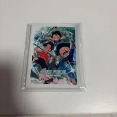 ワンピースカード プロモーションスリーブ ルフィ エース サボ
