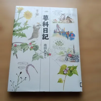 【初版本】蓼科日記 池田あきこ