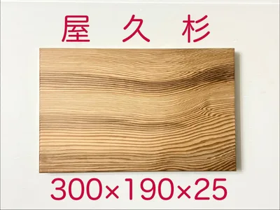 屋久杉 108