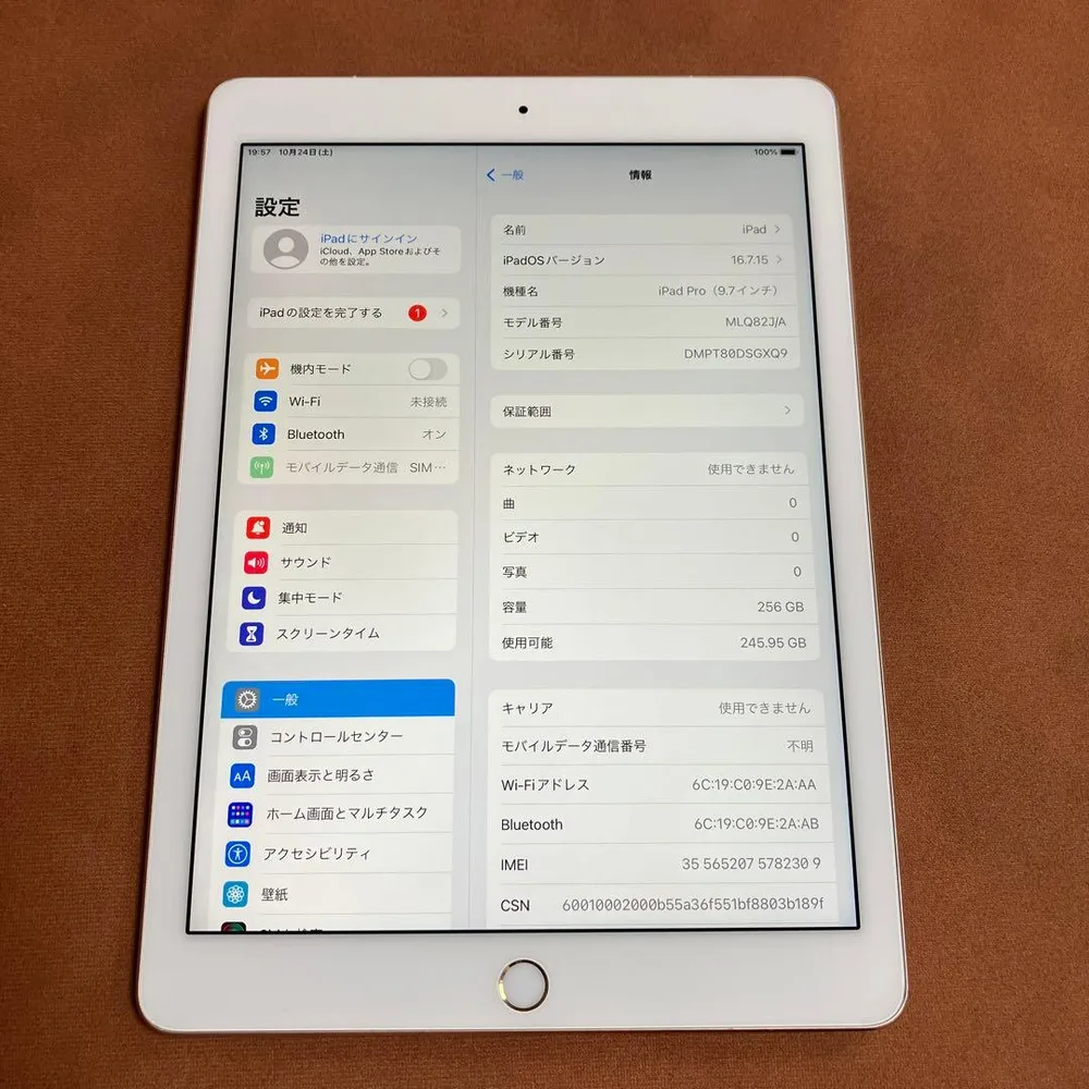 380 電池ほぼ新品☆iPad Pro 256GB 9.7インチ SIMフリー☆
