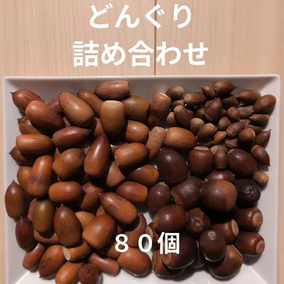 木の実 詰め合わせ 80個 3種 マテバシイ くぬぎ スダジイ どんぐり