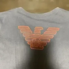 EMPORIO ARMANI Vネック Tシャツ グレー Mサイズ used