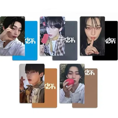 THE SIN:VANISH ソヌ weverse 5枚セット トレカ