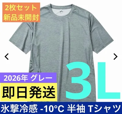 ワークマン 氷撃冷感 -10℃ 半袖 Tシャツ グレー 2枚セット 新品未開封