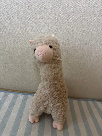 アルパカ ぬいぐるみ BIG 約50cm