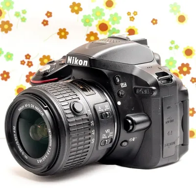 【Wi-Fiスマホ転送】Nikon D5300 レンズキット♪初心者安心!自撮り