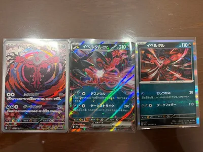ポケモンカード イベルタル3枚を含む12枚セット