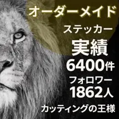 ありい様専用部屋 アイロンホワイト