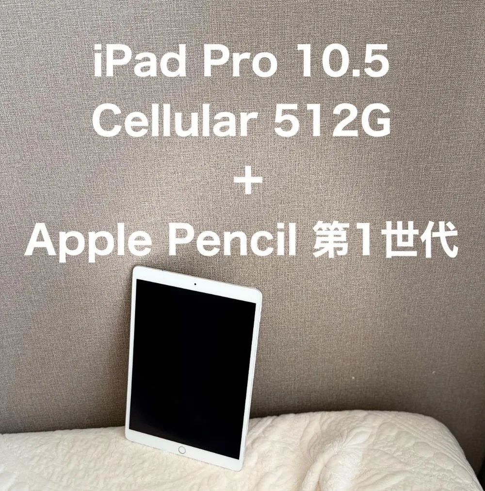 iPad Pro 10.5 512G Cell+Apple Pencil 1st