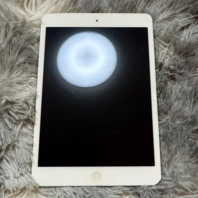 ジャンク iPad mini第2世代