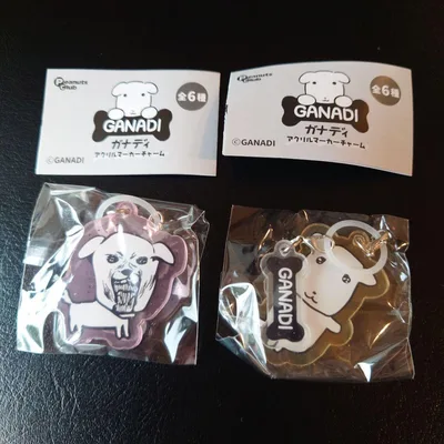 GANADI ガナディ アクリルマーカーチャーム 2種セット 未開封