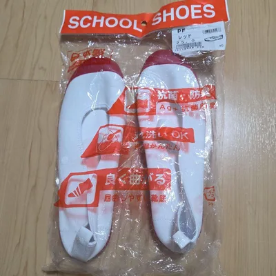 日本製 スクールシューズ 上履き レッド 25.0cm MoonStar