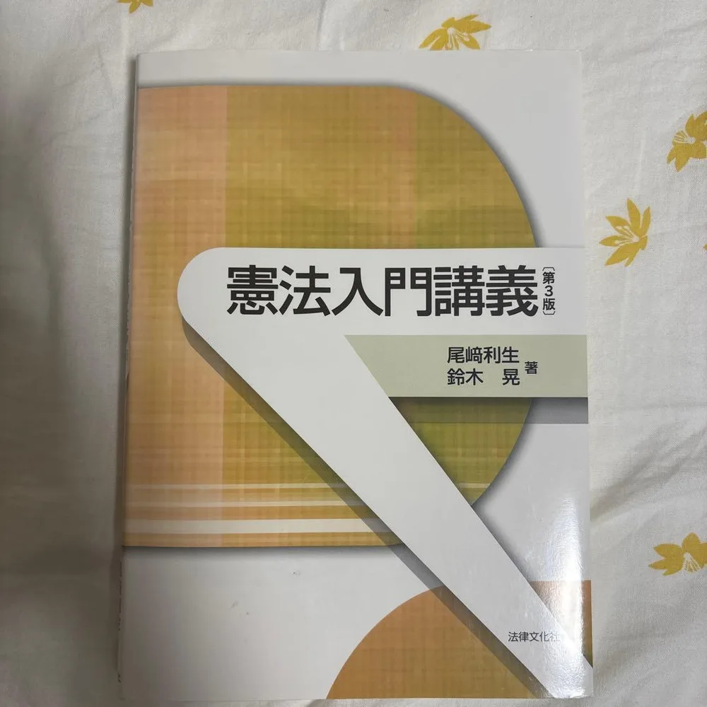 憲法入門講義〔第3版〕