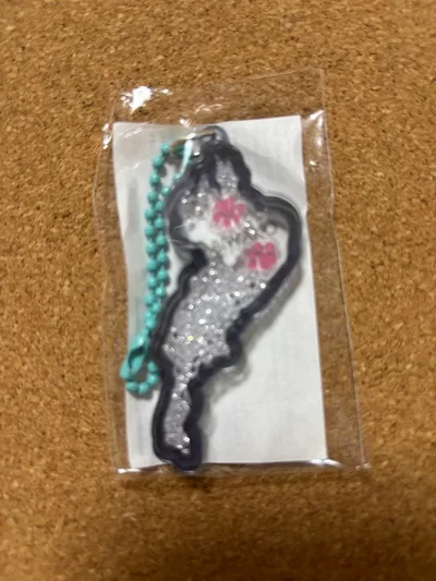 琵琶湖キーホルダー 肉球 黒