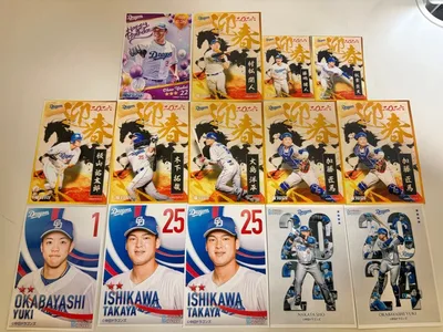 中日ドラゴンズ 竜ブロマイド 14枚セット 値下げ可能