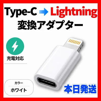 Type-C ➡︎Lightning 変換アダプター 白 iPhone タイプC