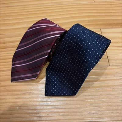 JOURNAL WORKS ウォッシャブルネクタイ 2本セット