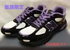 【美品】 ニューバランス 2010 日本限定カラー