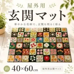 น้ำยาล้างโคลนพรมทางเข้ากลางแจ้งลายดอกไม้ 40 x 60 เสื่อภายในสแกนดิเนเวียนพีวีซี