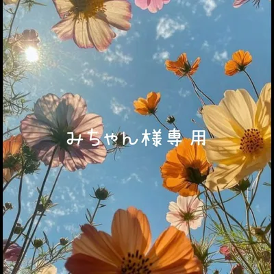 みちゃん様専用