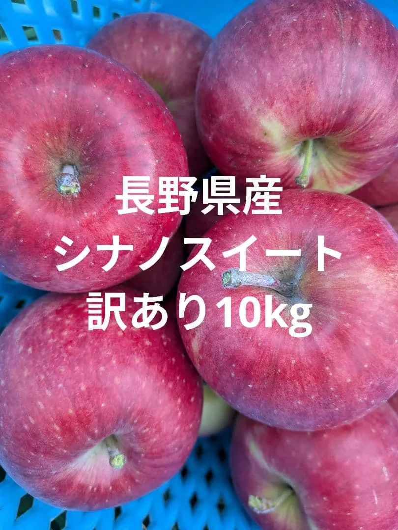 長野県産 シナノスイート小玉10㎏