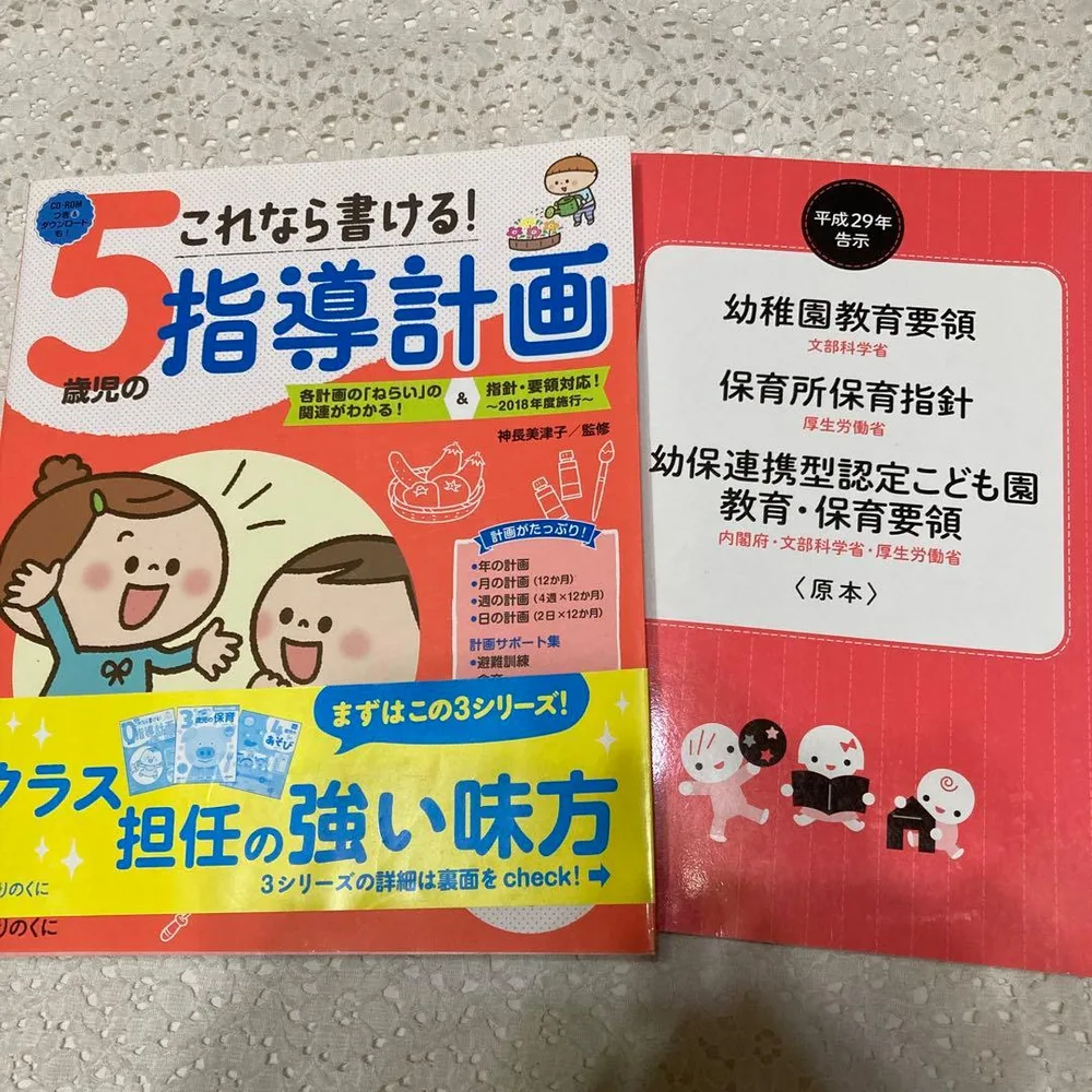 3割引 5歳児の指導計画と教育要領