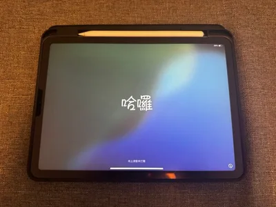 Apple iPad Air4(Apple pencil付)