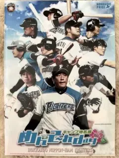 クリアファイル 北海道日本ハムファイターズ 大谷翔平 栗山英樹 中田翔 陽岱鋼
