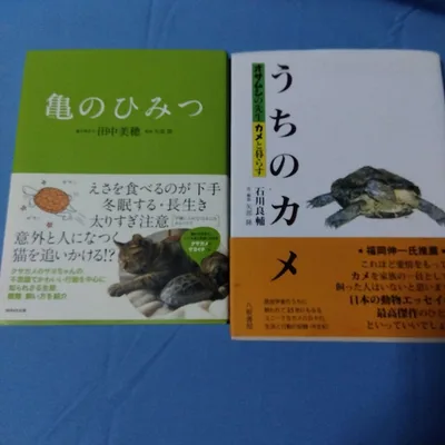 亀の本 まとめ売り 2冊セット