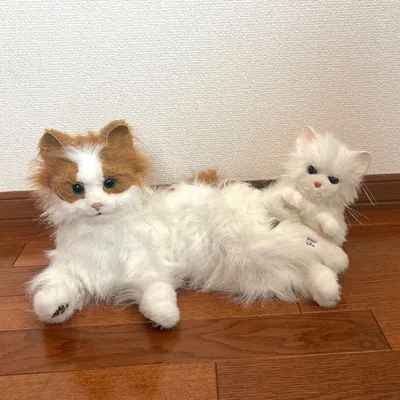 猫 リアル ぬいぐるみ 親子セット ネコ