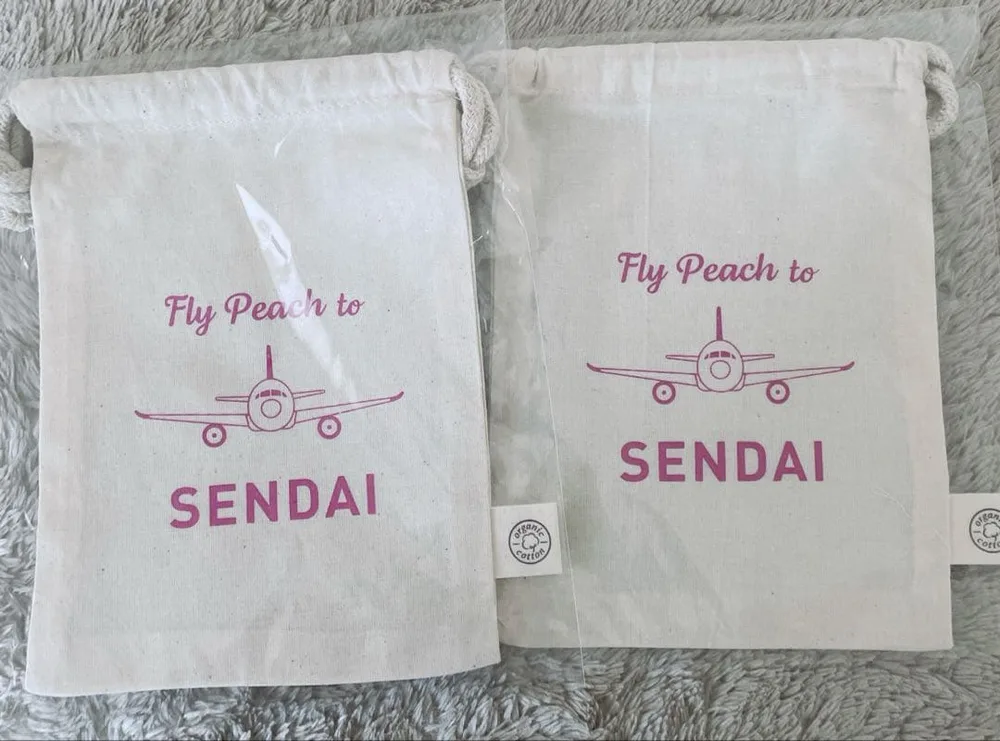 飛行機 peach