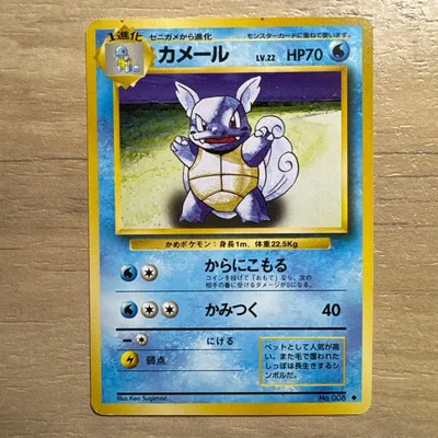 旧裏面 ポケモンカード カメール