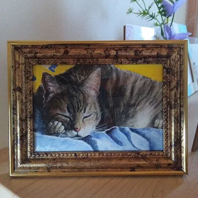 手描き絵画 キジトラ 猫 額縁付き 原画 ハガキサイズより若干小さめ