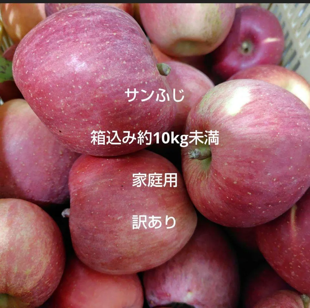サンふじ ご家庭用 訳あり 箱込み約9.5kg以上10kg未満