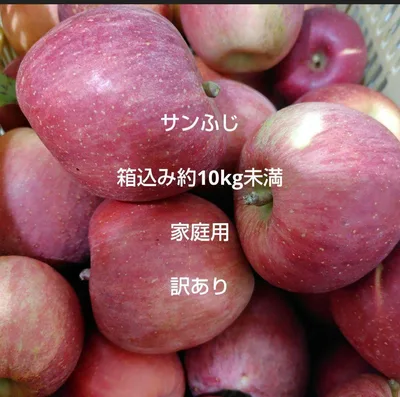 サンふじ ご家庭用 訳あり 箱込み約9.5kg以上10kg未満