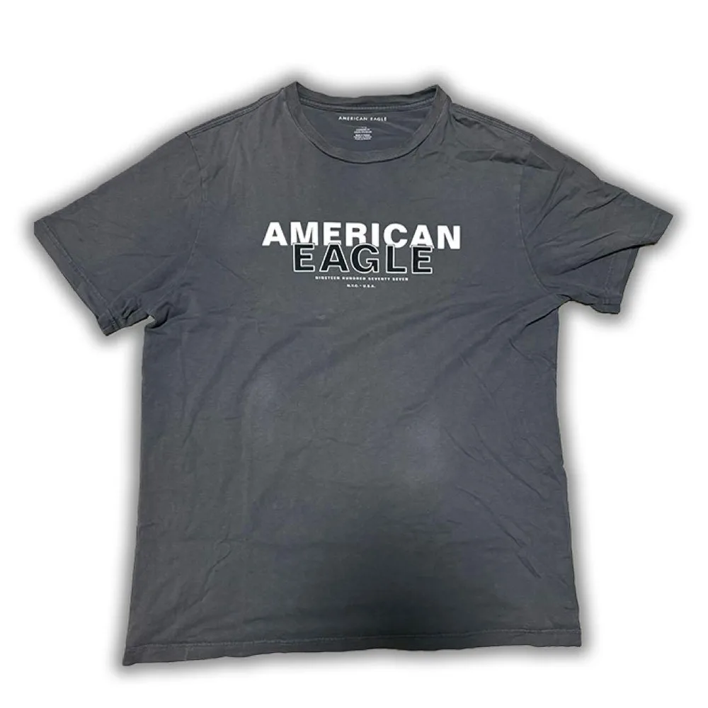 AMERICAN EAGLE Tシャツ グレー L