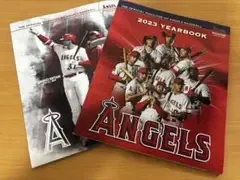 LA ANGELS 公式マガジン 2冊セット
