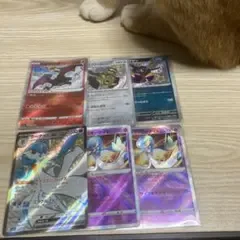 ポケモンカード 色違い まとめ売り