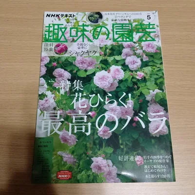 NHKテキスト 趣味の園芸 2022年5月号 特集 花ひらく!最高のバラ
