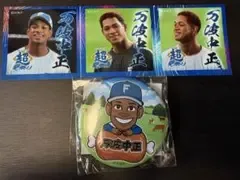 北海道日本ハムファイターズ 万波中正 ステッカー 缶バッジセット