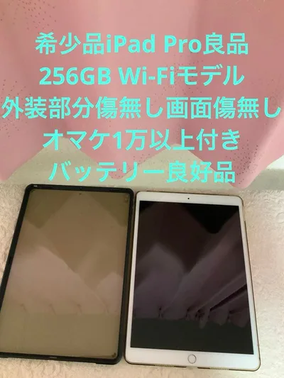 希少品超美品iPad Pro 256GB Wi-Fiモデル オマケ1万以上付き